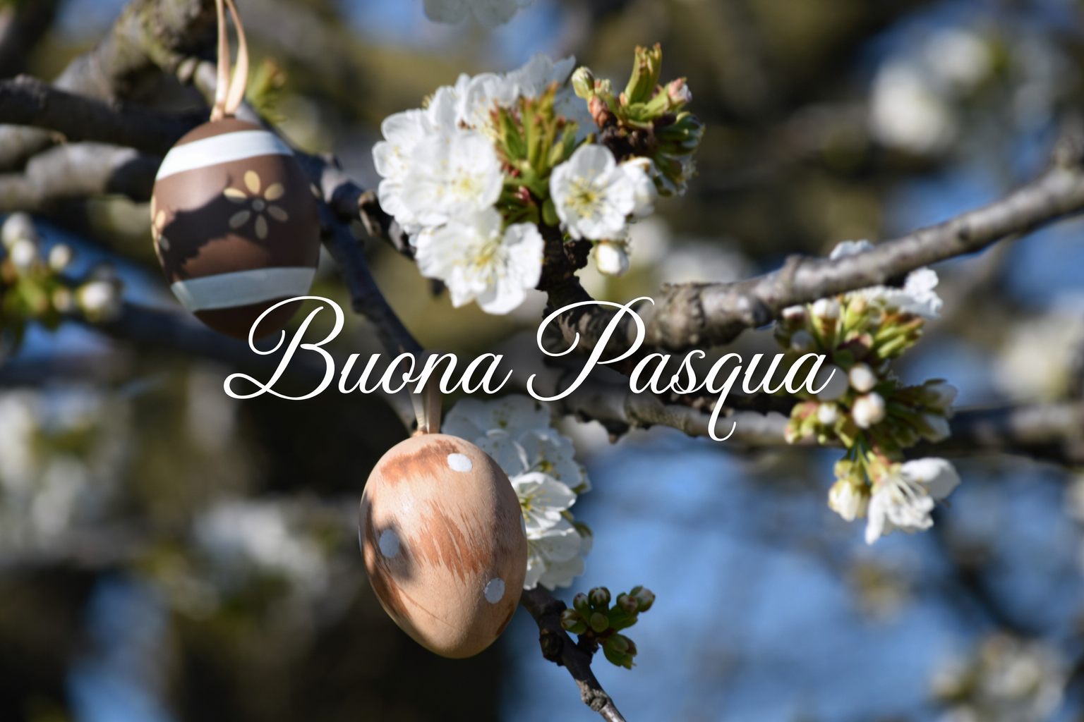 Uova di Pasqua tra i fiori.png